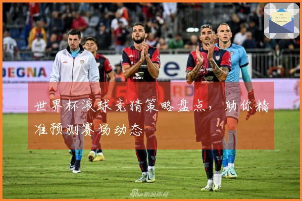 世界杯滚球竞猜策略盘点，助你精准预测赛场动态
