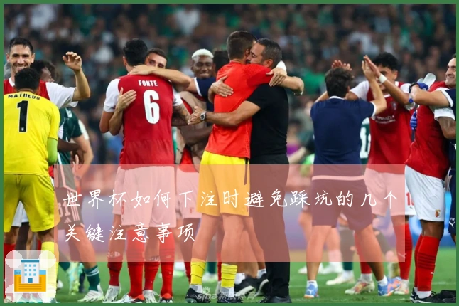 世界杯如何下注时避免踩坑的几个关键注意事项