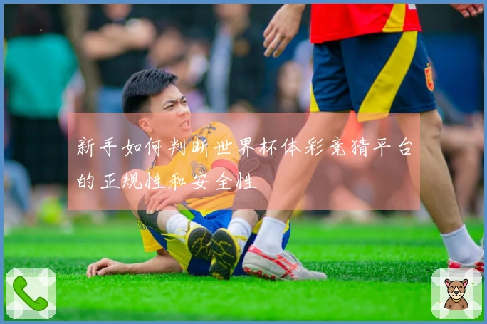新手如何判断世界杯体彩竞猜平台的正规性和安全性