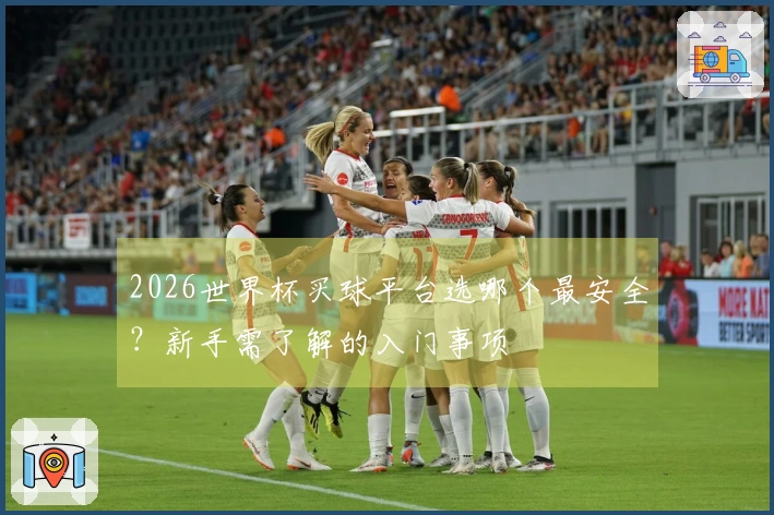 2026世界杯买球平台选哪个最安全？新手需了解的入门事项