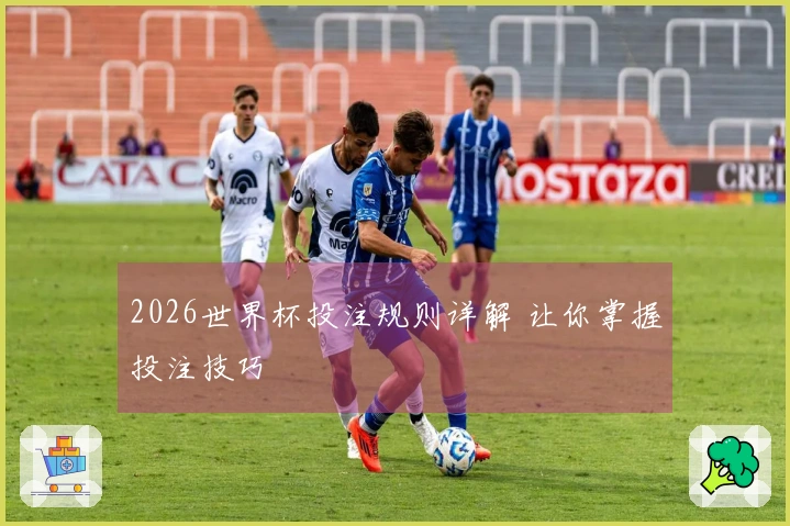 2026世界杯投注规则详解 让你掌握投注技巧