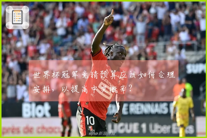 世界杯冠军竞猜预算应该如何合理安排，以提高中奖概率？