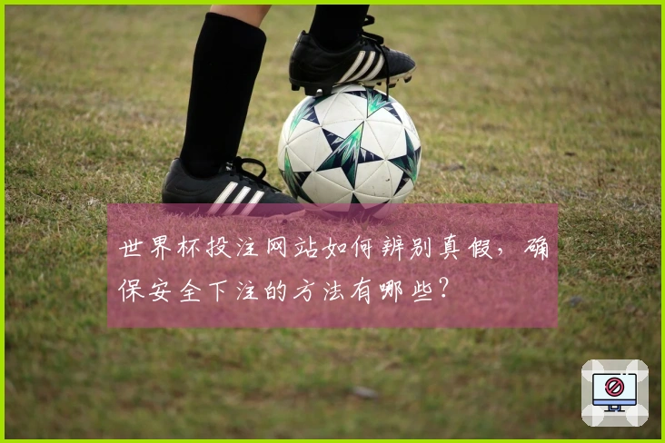 世界杯投注网站如何辨别真假，确保安全下注的方法有哪些？
