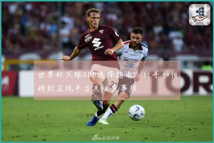 世界杯买球app选择指南：新手如何辨别正规平台及注意事项