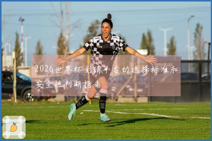 2026世界杯竞猜平台的选择标准和安全性判断指南