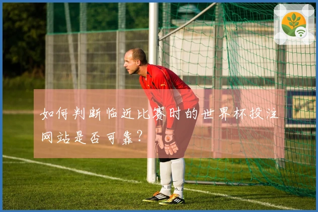 如何判断临近比赛时的世界杯投注网站是否可靠？