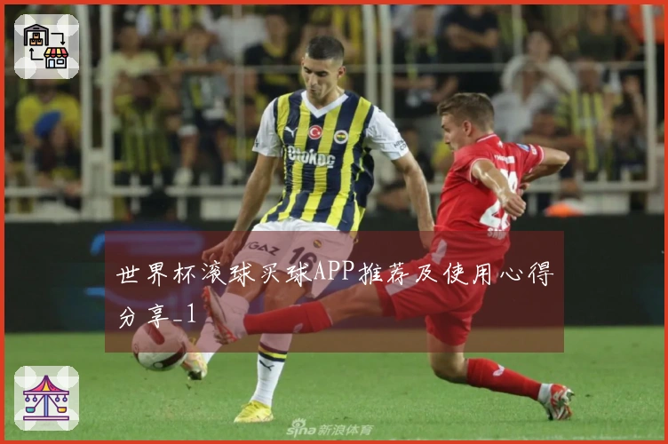 世界杯滚球买球APP推荐及使用心得分享_1