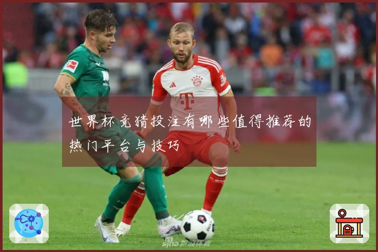 世界杯竞猜投注有哪些值得推荐的热门平台与技巧