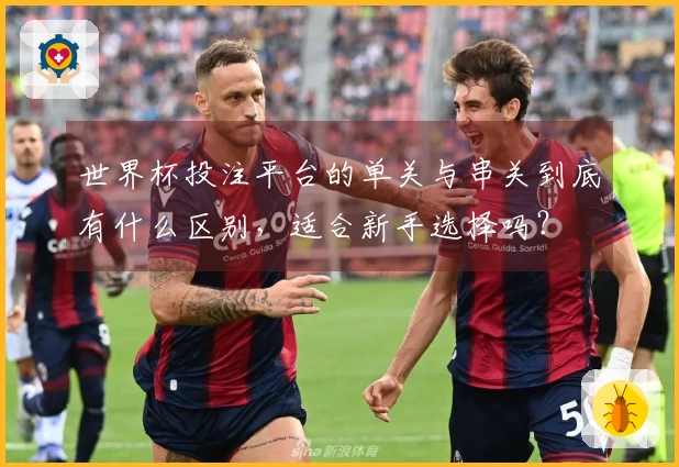 世界杯投注平台的单关与串关到底有什么区别，适合新手选择吗？