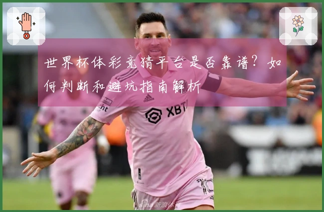 世界杯体彩竞猜平台是否靠谱？如何判断和避坑指南解析