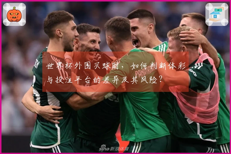 世界杯外围买球时，如何判断体彩与投注平台的差异及其风险？