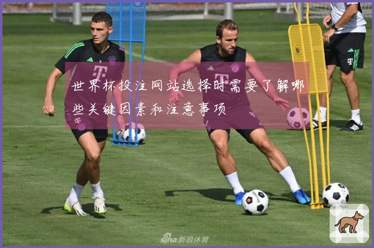 世界杯投注网站选择时需要了解哪些关键因素和注意事项