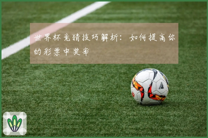 世界杯竞猜技巧解析：如何提高你的彩票中奖率
