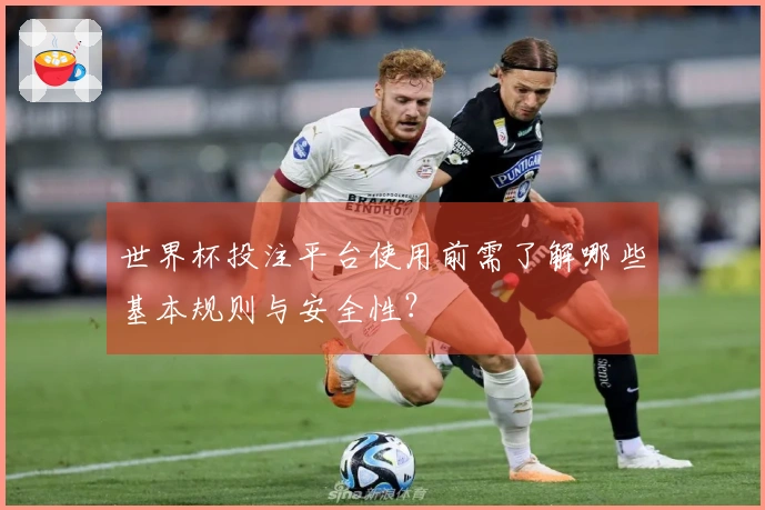 世界杯投注平台使用前需了解哪些基本规则与安全性？
