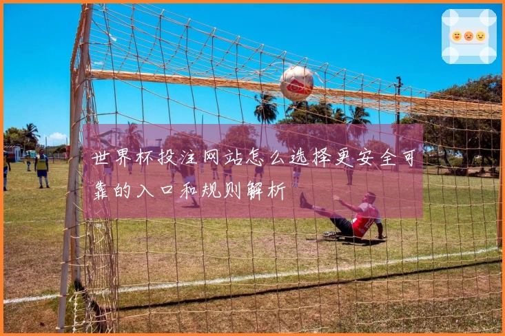 世界杯投注网站怎么选择更安全可靠的入口和规则解析