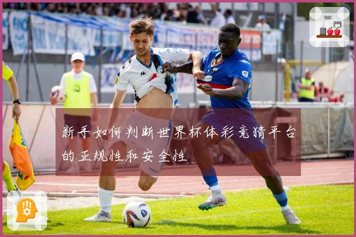 新手如何判断世界杯体彩竞猜平台的正规性和安全性