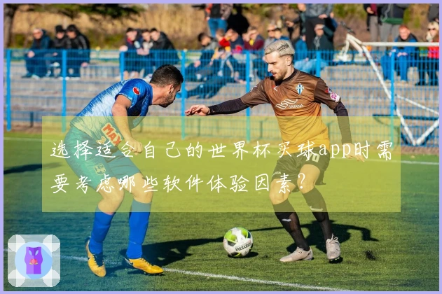 选择适合自己的世界杯买球app时需要考虑哪些软件体验因素？