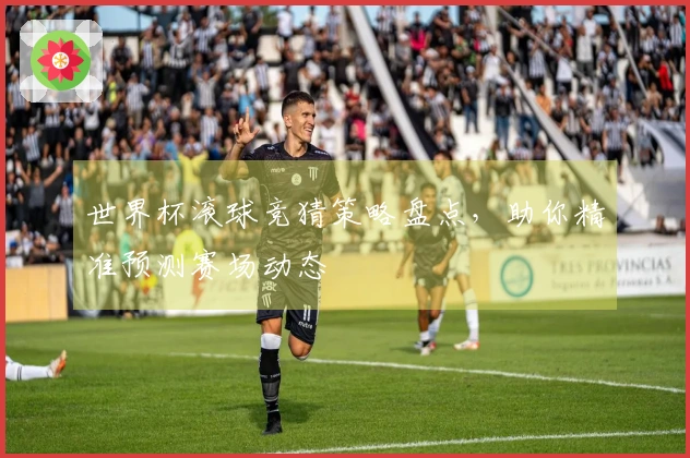 世界杯滚球竞猜策略盘点，助你精准预测赛场动态