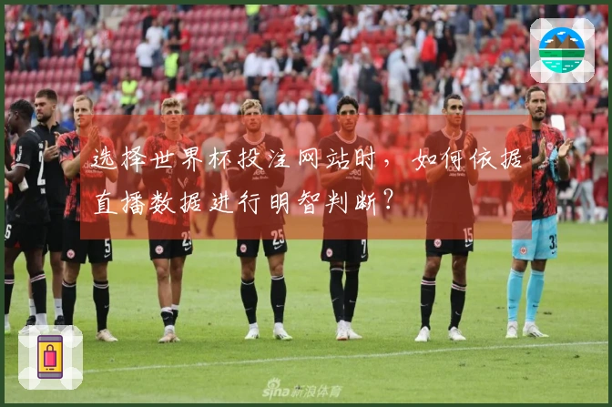 选择世界杯投注网站时，如何依据直播数据进行明智判断？