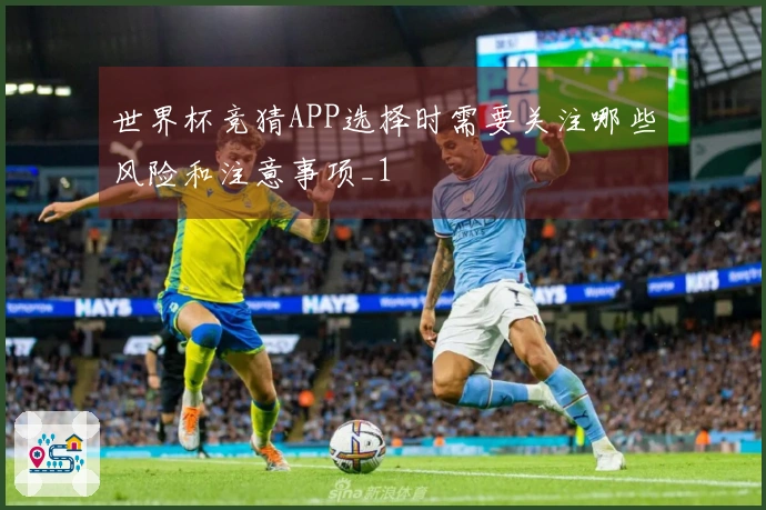 世界杯竞猜APP选择时需要关注哪些风险和注意事项_1