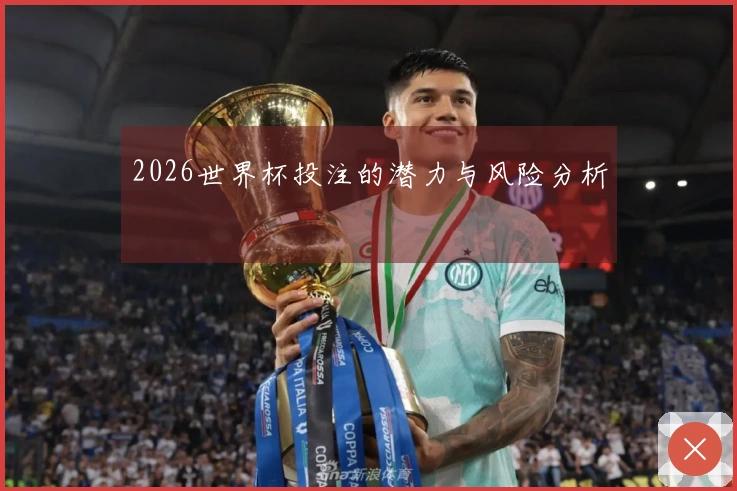 2026世界杯投注的潜力与风险分析