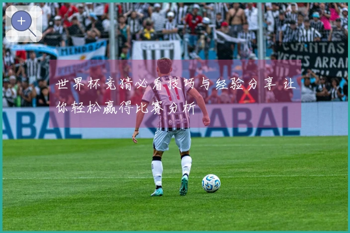 世界杯竞猜必看技巧与经验分享 让你轻松赢得比赛分析