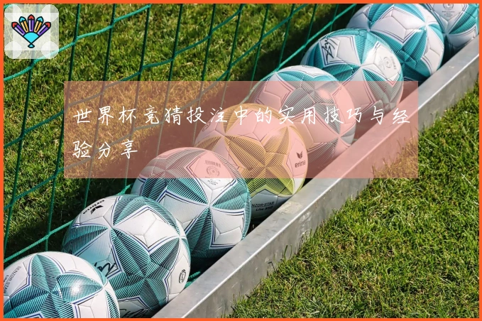 世界杯竞猜投注中的实用技巧与经验分享