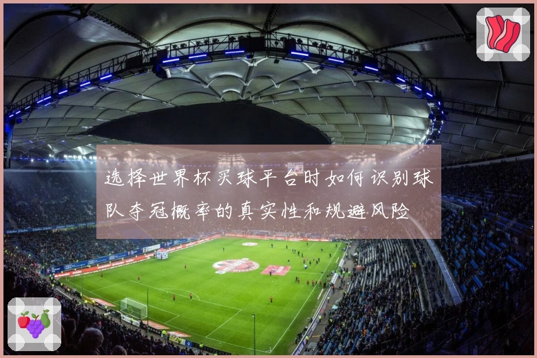选择世界杯买球平台时如何识别球队夺冠概率的真实性和规避风险