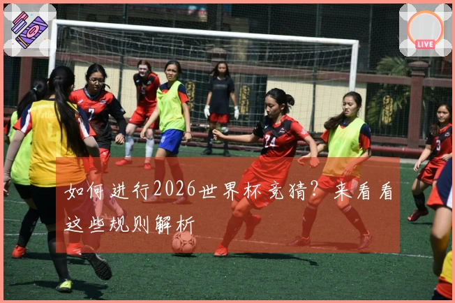 如何进行2026世界杯竞猜？来看看这些规则解析