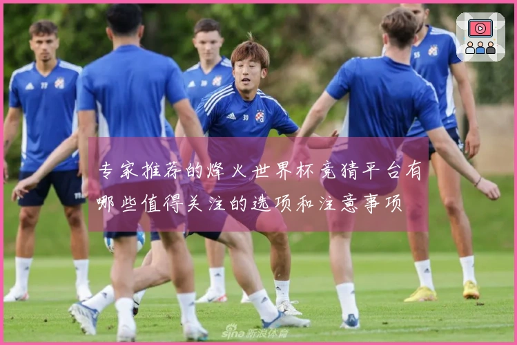 专家推荐的烽火世界杯竞猜平台有哪些值得关注的选项和注意事项