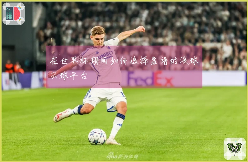 在世界杯期间如何选择靠谱的滚球买球平台