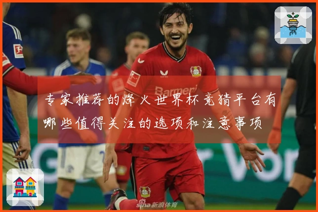 专家推荐的烽火世界杯竞猜平台有哪些值得关注的选项和注意事项
