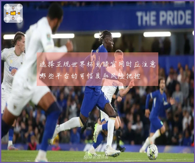 选择正规世界杯竞猜官网时应注意哪些平台的可信度和风险把控