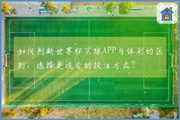 如何判断世界杯买球APP与体彩的区别，选择更适合的投注方式？