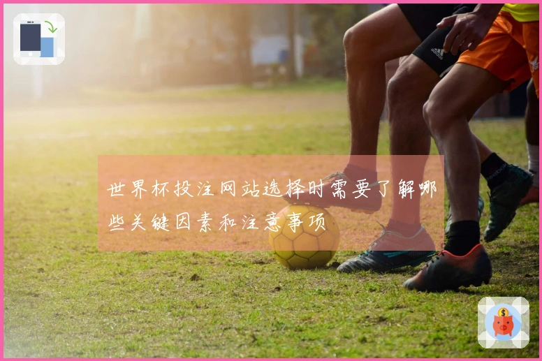 世界杯投注网站选择时需要了解哪些关键因素和注意事项