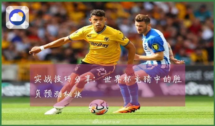 实战技巧分享：世界杯竞猜中的胜负预测秘诀