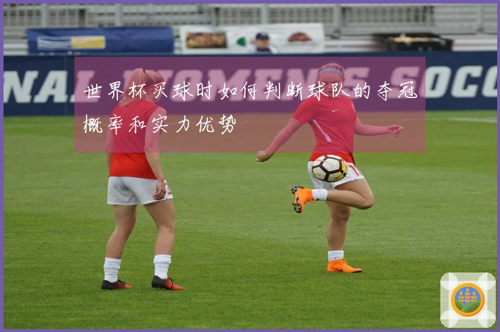 世界杯买球时如何判断球队的夺冠概率和实力优势