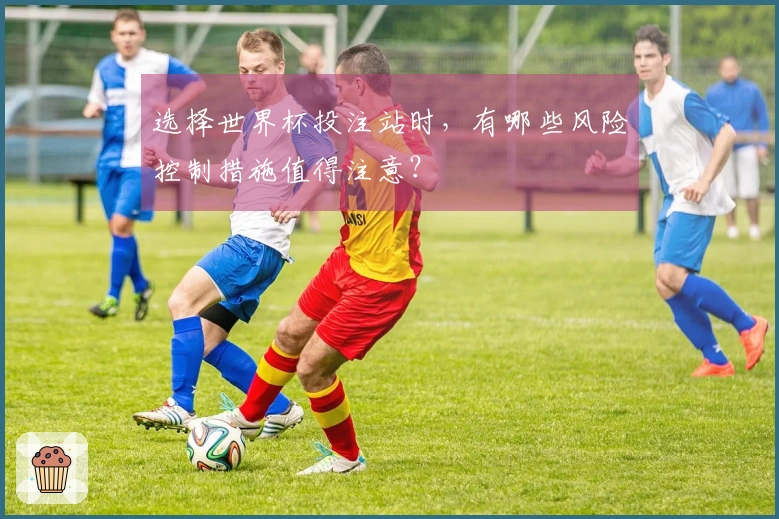 选择世界杯投注站时,有哪些风险控制措施值得注意?