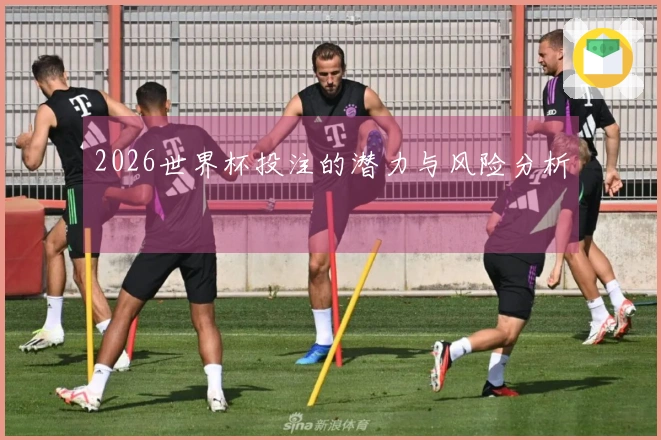 2026世界杯投注的潜力与风险分析