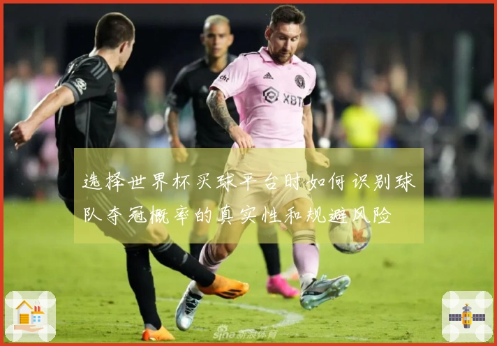 选择世界杯买球平台时如何识别球队夺冠概率的真实性和规避风险